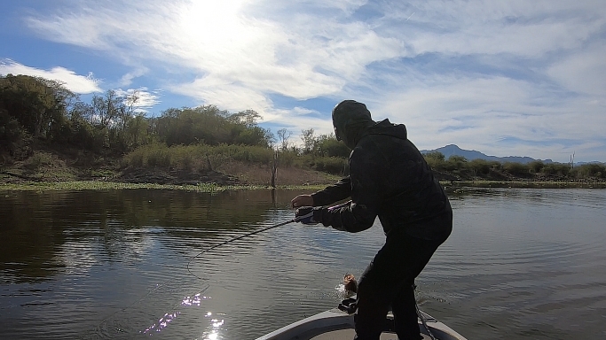 Captura de pantalla (1073).png Captura de pantalla (1073).png